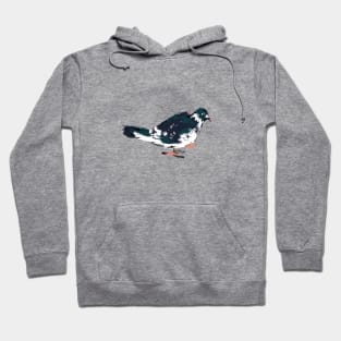 Friendly NYC Pigeon Hoodie